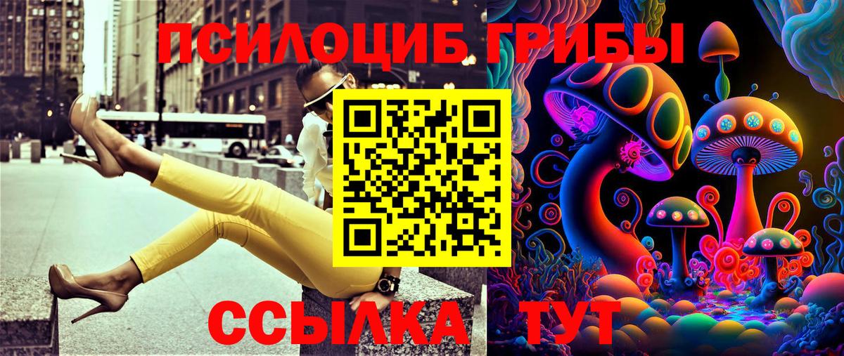 Галлюциногенные грибы мицелий  хочу   Железногорск  Вход с VPN 